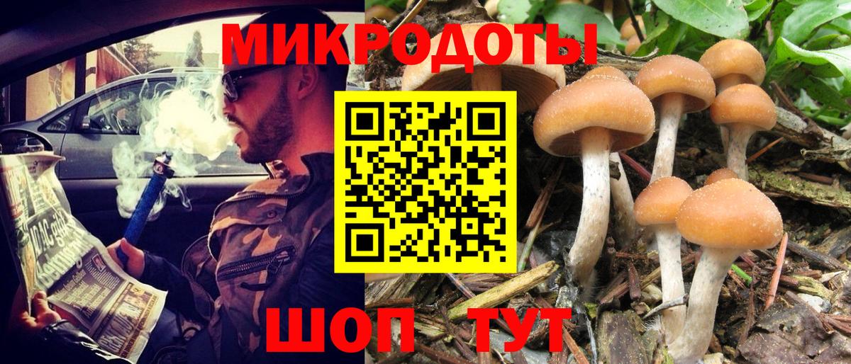 Похвистнево  Псилоцибиновые грибы Cubensis  Псилоцибиновые грибы Psilocybine cubensis  Вход с VPN 