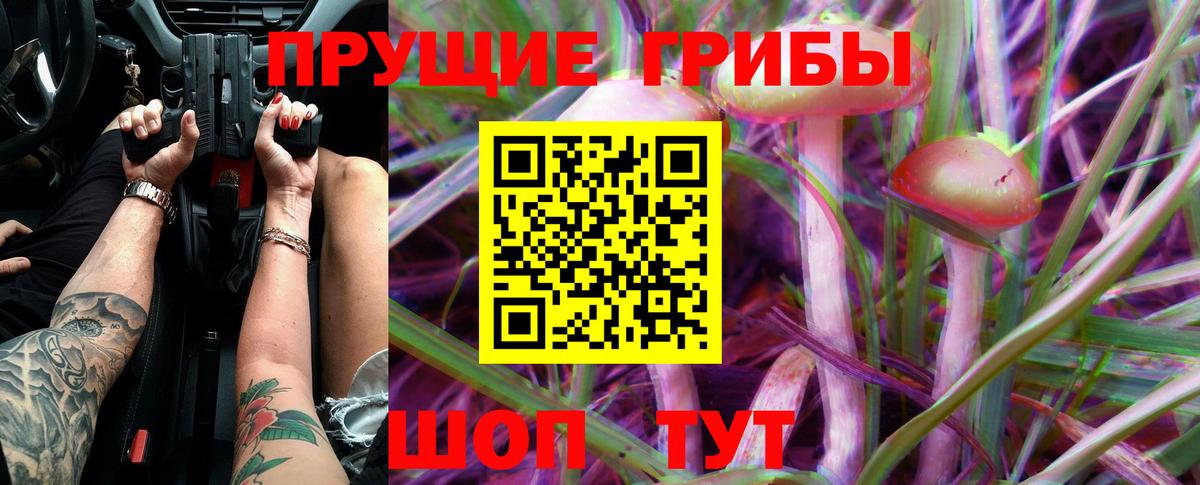 Галлюциногенные грибы GOLDEN TEACHER Похвистнево